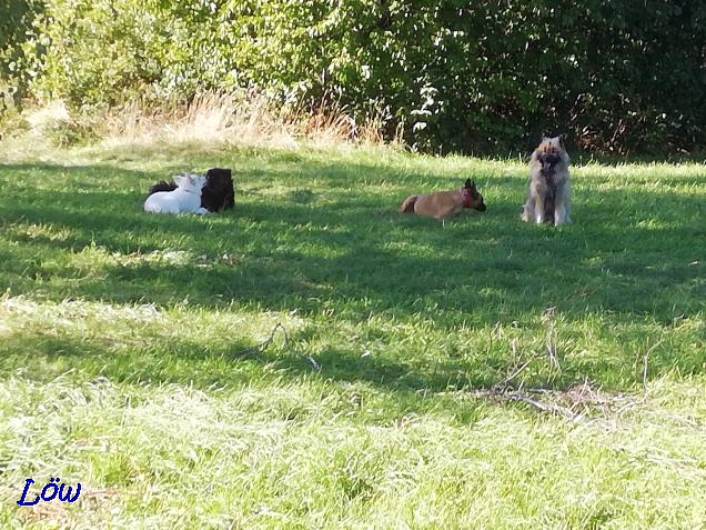 27.09.2018 - Treffen mit Kara und Teddy